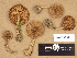  ( - H6029337)  @11 [ ] Copyright (2012) Diana Weckman Botanical Museum, Finnish Museum of Natural History, University of Helsinki
