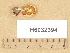  ( - H6032394)  @11 [ ] Copyright (2012) Diana Weckman Botanical Museum, Finnish Museum of Natural History, University of Helsinki