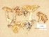  ( - H6033538)  @11 [ ] Copyright (2012) Diana Weckman Botanical Museum, Finnish Museum of Natural History, University of Helsinki
