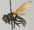  ( - MZH_HP.21)  @14 [ ] CreativeCommons - Attribution Non-Commercial No Derivatives (2011) Finnish Museum of Natural History Finnish Museum of Natural History