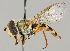  ( - MZH_HP.222)  @14 [ ] CreativeCommons - Attribution Non-Commercial No Derivatives (2011) Finnish Museum of Natural History Finnish Museum of Natural History