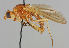  ( - MZH_HP.239)  @14 [ ] CreativeCommons - Attribution Non-Commercial No Derivatives (2011) Finnish Museum of Natural History Finnish Museum of Natural History