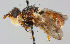  ( - MZH_HP.256)  @14 [ ] CreativeCommons - Attribution Non-Commercial No Derivatives (2011) Finnish Museum of Natural History Finnish Museum of Natural History