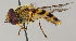  ( - MZH_HP.28)  @14 [ ] CreativeCommons - Attribution Non-Commercial No Derivatives (2011) Finnish Museum of Natural History Finnish Museum of Natural History