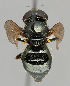  ( - MZH_HP.57)  @14 [ ] CreativeCommons - Attribution Non-Commercial No Derivatives (2011) Finnish Museum of Natural History Finnish Museum of Natural History