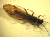  ( - JI-BOLD-283)  @11 [ ] Unspecified (default): All Rights Reserved  Unspecified Unspecified