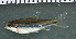  ( - OS19893 BLS14-164)  @11 [ ] CreativeCommons  Attribution Non-Commercial Share-Alike (2014) Brian Sidlauskas Oregon State University