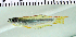  ( - OS19896 BLS14-168)  @11 [ ] CreativeCommons  Attribution Non-Commercial Share-Alike (2014) Brian Sidlauskas Oregon State University