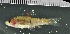  ( - OS19409 BLS14-151)  @11 [ ] CreativeCommons  Attribution Non-Commercial Share-Alike (2014) Brian Sidlauskas Oregon State University