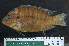  ( - OS19601 BLS14-012)  @11 [ ] CreativeCommons  Attribution Non-Commercial Share-Alike  Unspecified Unspecified