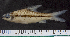  ( - OS20430 GAB17-0828)  @11 [ ] CreativeCommons  Attribution Non-Commercial Share-Alike  Unspecified Unspecified