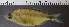 ( - OS21793 GAB17-0042)  @11 [ ] CreativeCommons  Attribution Non-Commercial Share-Alike (2019) Oregon State University Oregon State University