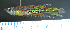  ( - OS22360 GAB17-0113)  @11 [ ] CreativeCommons  Attribution Non-Commercial Share-Alike (2017) Brian Sidlauskas Oregon State University