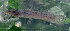 (Parauchenoglanis punctatus - OS19655 BLS-GAB-508)  @11 [ ] CreativeCommons  Attribution Non-Commercial Share-Alike (2014) Brian Sidlauskas Oregon State University