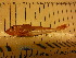  ( - CHC002)  @11 [ ] Unspecified (default): All Rights Reserved  Unspecified Unspecified