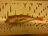  ( - LED002)  @11 [ ] Unspecified (default): All Rights Reserved  Unspecified Unspecified