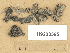  (Lempholemma chalazanum - H9203595)  @11 [ ] Copyright (2012) Diana Weckman Botanical Museum, Finnish Museum of Natural History, University of Helsinki