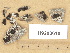  ( - H9203610)  @11 [ ] Copyright (2012) Diana Weckman Botanical Museum, Finnish Museum of Natural History, University of Helsinki