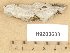  ( - H9203638)  @11 [ ] Copyright (2012) Diana Weckman Botanical Museum, Finnish Museum of Natural History, University of Helsinki