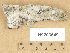  ( - H9203649)  @11 [ ] Copyright (2012) Diana Weckman Botanical Museum, Finnish Museum of Natural History, University of Helsinki