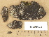  ( - H9203882)  @11 [ ] Copyright (2012) Diana Weckman Botanical Museum, Finnish Museum of Natural History, University of Helsinki