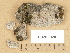  ( - H9203920)  @11 [ ] Copyright (2012) Diana Weckman Botanical Museum, Finnish Museum of Natural History, University of Helsinki