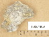  ( - H9204869)  @11 [ ] Copyright (2013) Diana Weckman Botanical Museum, Finnish Museum of Natural History, University of Helsinki