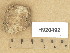  ( - H9204921)  @11 [ ] Copyright (2013) Diana Weckman Botanical Museum, Finnish Museum of Natural History, University of Helsinki