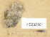  ( - H9205101)  @11 [ ] Copyright (2013) Diana Weckman Botanical Museum, Finnish Museum of Natural History, University of Helsinki