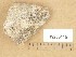  ( - H9205115)  @11 [ ] Copyright (2013) Diana Weckman Botanical Museum, Finnish Museum of Natural History, University of Helsinki