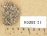  ( - H9205151)  @11 [ ] Copyright (2013) Diana Weckman Botanical Museum, Finnish Museum of Natural History, University of Helsinki