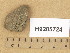  ( - H9205724)  @11 [ ] Copyright (2014) Diana Weckman Botanical Museum, Finnish Museum of Natural History, University of Helsinki