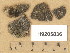  ( - H9205836)  @11 [ ] Copyright (2014) Diana Weckman Botanical Museum, Finnish Museum of Natural History, University of Helsinki