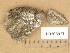  ( - H9205927)  @11 [ ] Copyright (2014) Diana Weckman Botanical Museum, Finnish Museum of Natural History, University of Helsinki