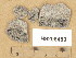  ( - H9206489)  @11 [ ] Copyright (2014) Diana Weckman Botanical Museum, Finnish Museum of Natural History, University of Helsinki