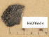  ( - H9206524)  @11 [ ] Copyright (2014) Diana Weckman Botanical Museum, Finnish Museum of Natural History, University of Helsinki