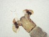  ( - Jari20110233)  @12 [ ] Unspecified (default): All Rights Reserved  Unspecified Unspecified
