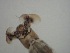  ( - Jari20110233)  @12 [ ] Unspecified (default): All Rights Reserved  Unspecified Unspecified