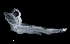 ( - IMOSLarvalFish14)  @11 [ ] CreativeCommons  - Attribution Non-Conmmercial Share-Alike (2021) Unspecified CSIRO Australian National Fish Collection