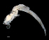 ( - IMOSLarvalFish18)  @11 [ ] CreativeCommons  - Attribution Non-Conmmercial Share-Alike (2021) Unspecified CSIRO Australian National Fish Collection