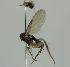  ( - MZH_HP.2325)  @12 [ ] CreativeCommons - Attribution Non-Commercial No Derivatives (2014) Hanna Koivula Finnish Museum of Natural History