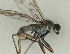  ( - MZH_HP.2370)  @12 [ ] CreativeCommons - Attribution Non-Commercial No Derivatives (2014) Hanna Koivula Finnish Museum of Natural History