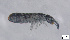  ( - FINCO-2020-0012)  @11 [ ] by-nc (2020) Inkeri Markkula University of Turku
