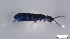  ( - FINCO-2020-0047)  @11 [ ] by-nc (2020) Inkeri Markkula University of Turku