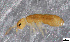  ( - FINCO-2020-0136)  @11 [ ] by-nc (2020) Inkeri Markkula University of Turku