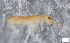 ( - FINCO-2020-0137)  @11 [ ] by-nc (2020) Inkeri Markkula University of Turku