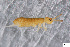  ( - FINCO-2020-0139)  @11 [ ] by-nc (2020) Inkeri Markkula University of Turku