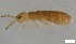  ( - FINCO-2020-0140)  @11 [ ] by-nc (2020) Inkeri Markkula University of Turku