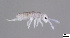  ( - FINCO-2020-0158)  @11 [ ] by-nc (2020) Inkeri Markkula University of Turku