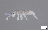  ( - FINCO-2020-0159)  @11 [ ] by-nc (2020) Inkeri Markkula University of Turku